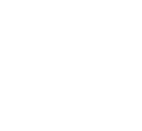 BNW Developments logo
