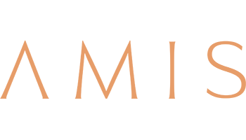 AMIS Development logo